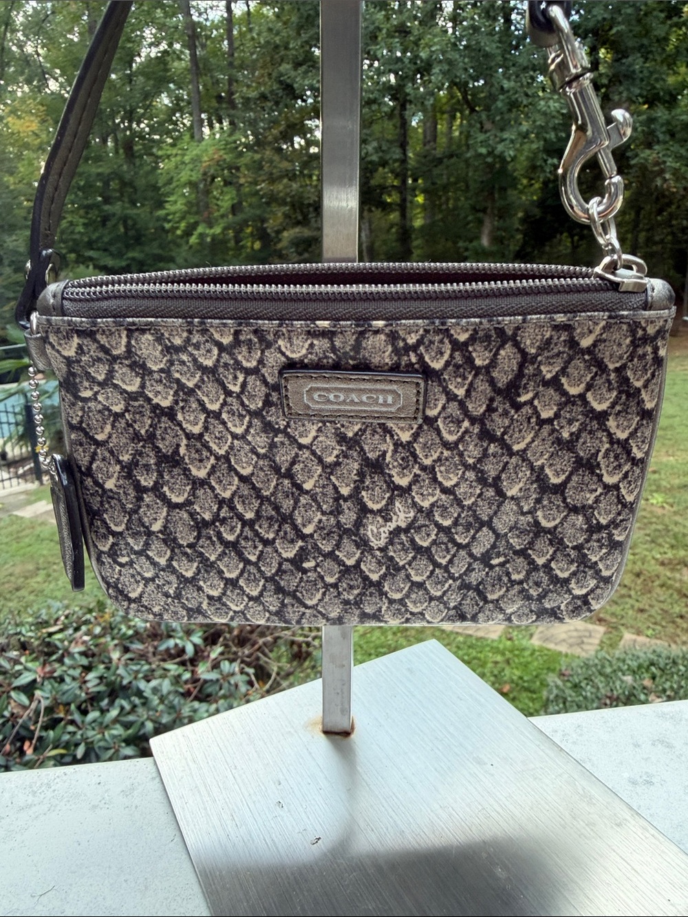 Coach Snake-Print Wristlet in Black and Gray
